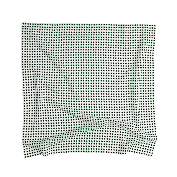 플랫폼엘 martens and martens double silk screen-printed scarf (black&green)